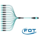 MPO MTP Patch Cables